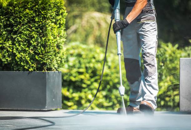 Pre-Holiday Cleaning in West Lake Hills, TX